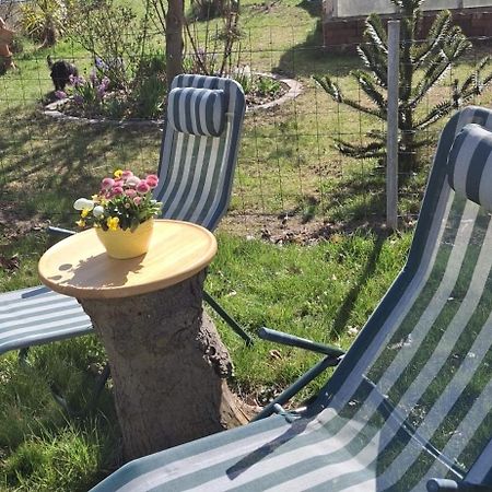 Ferienwohnung Rosengarten Ballenstedt Buitenkant foto