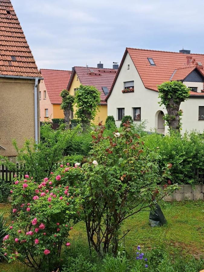 Ferienwohnung Rosengarten Ballenstedt Buitenkant foto